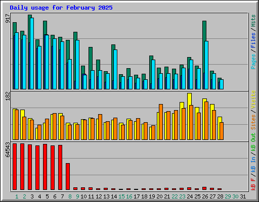 Daily usage for February 2025