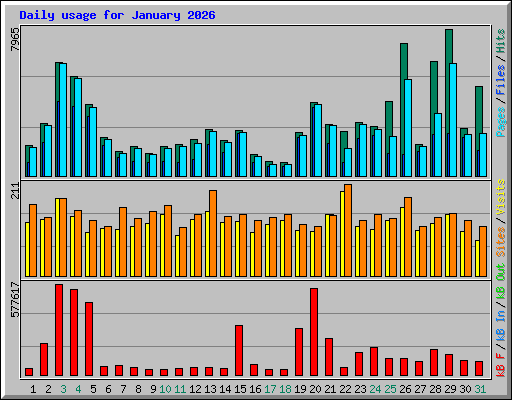 Daily usage for January 2026