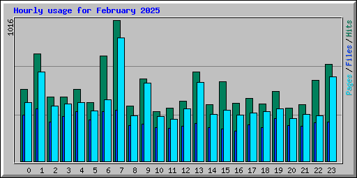 Hourly usage for February 2025