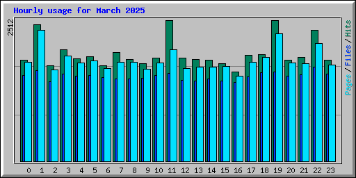 Hourly usage for March 2025