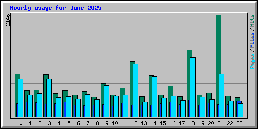Hourly usage for June 2025