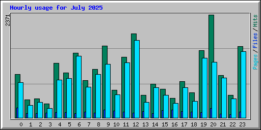 Hourly usage for July 2025