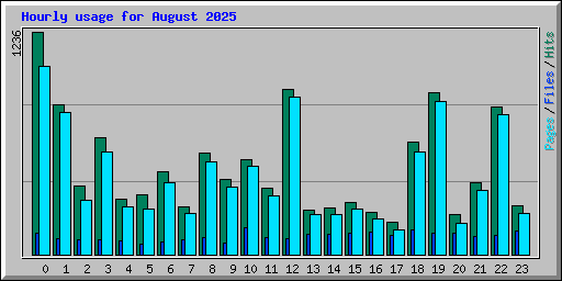 Hourly usage for August 2025