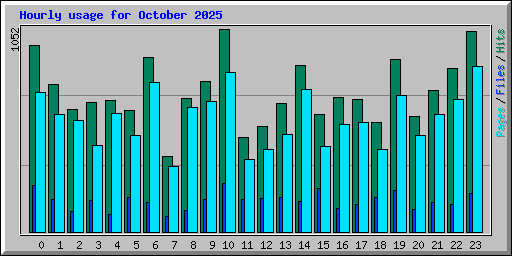 Hourly usage for October 2025
