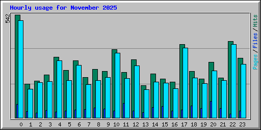 Hourly usage for November 2025