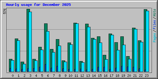 Hourly usage for December 2025