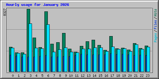 Hourly usage for January 2026